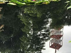 -北海道厅旧本厅舍(旧本庁舎)