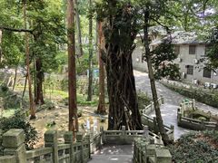 -南华禅寺