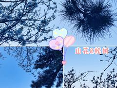 -北京西山国家森林公园