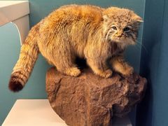 -国家自然博物馆