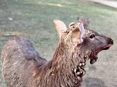 -常州淹城野生动物世界