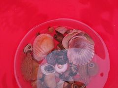 -东戴河风景区-止锚湾