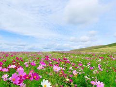 -库伦旗银沙湾旅游景区