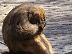 -洛阳花果山景区
