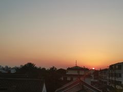 -苏州艺都古玩花鸟市场