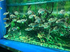 -大明湖海底世界