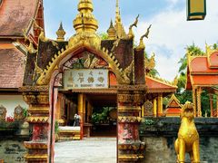 -西双版纳傣族园