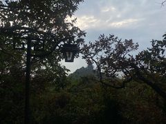 -杭州半山国家森林公园