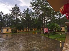 -海南热带雨林国家公园吊罗山景区