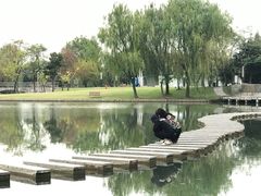 -上海佘山世茂艾美酒店