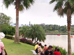 -枫香湖儿童公园