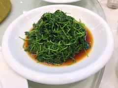 -锦江之星旅馆上海新国际博览中心店-停车场