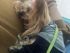 -前小桔亲子创意农场·草莓采摘·露营烧烤