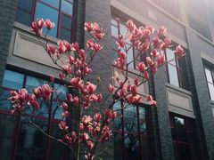 -山东大学(趵突泉校区)