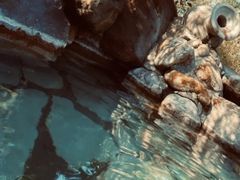 -汤泊温泉度假村