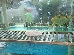 -金沙滩海鲜餐厅·海肠捞饭·手工水饺(梅江龙水园店)