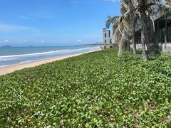 -小海豚•老字号海鲜餐厅(天涯店)