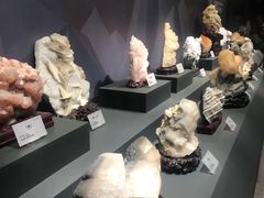 -湖南省地质博物馆