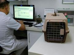 -宠颐生中康贝怡动物医院
