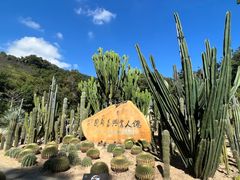 -深圳仙湖植物园