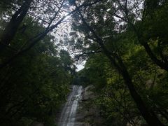 -陕西省红河谷森林公园