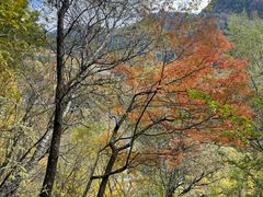 -叠溪松坪沟景区