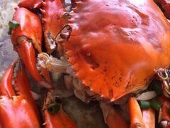 -浪琴湾尾角仔海鲜坊