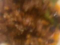 -清真•蜀风园(丁字沽总店)