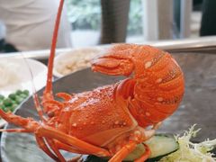 -寻味顺德·顺峰山庄(大良店)