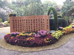 -上海醉白池公园