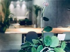 -山下C5cafe(惠通时代广场店)