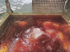 -春晖园度假酒店温泉