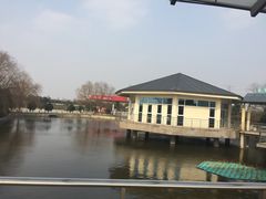 -平望服务区·停车场