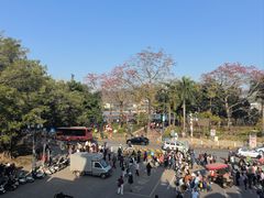-老炳·七丛松甘草水果