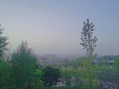 -莫子山公园