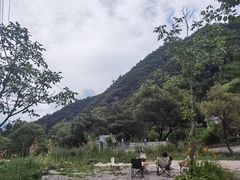 -朱雀国家森林公园