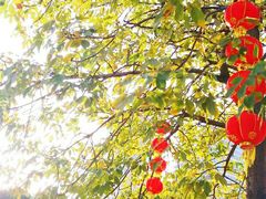 -东风公园