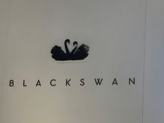 -BLACKSWAN黑天鹅(环球店)