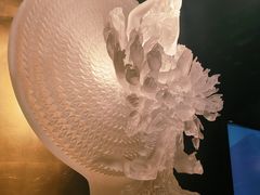 -上海琉璃艺术博物馆
