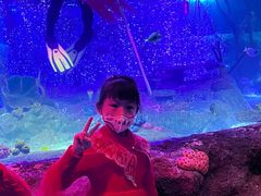 -沈阳海洋探索中心