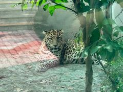 -成都动物园