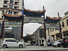 -OLD TREE老树咖啡·西餐厅(台山人工湖店)