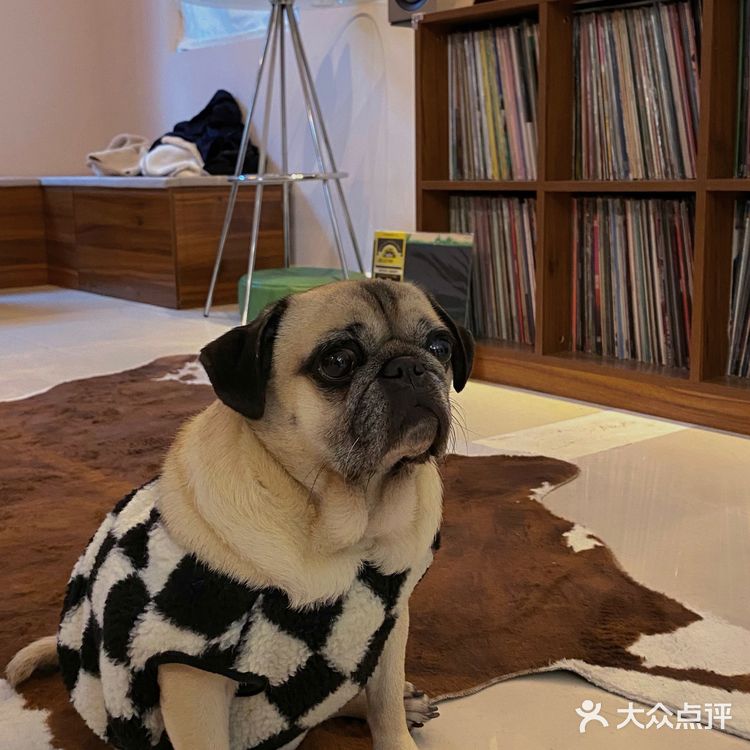 珠海探店｜这家唱片咖啡📀我可以去一百次❕