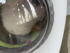 -半岛宠物医院24小时(西派城店)