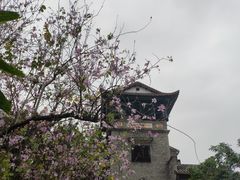 -东莞市可园博物馆