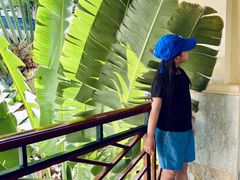 -三亚亚龙湾天域度假酒店