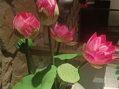 -毛家饭店·30年融合新湘菜(汉峪金谷店)