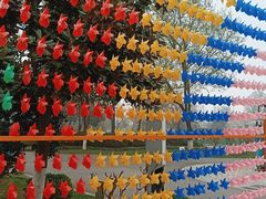 -玄武湖景区-情侣园游乐场