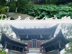 -武汉园博园(武汉自然博物馆)