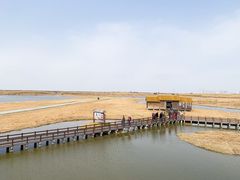 -宁波杭州湾国家湿地公园